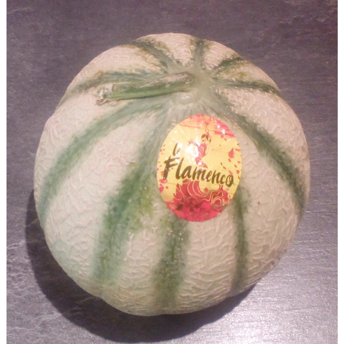 melon français