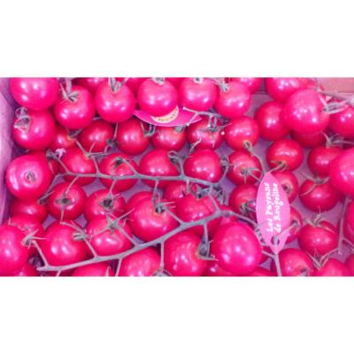tomate cerise