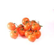 tomate ronde grappe