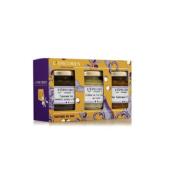 L'epicurien Coffret Tartines et Aperos 3x100 g