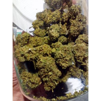 amnesia