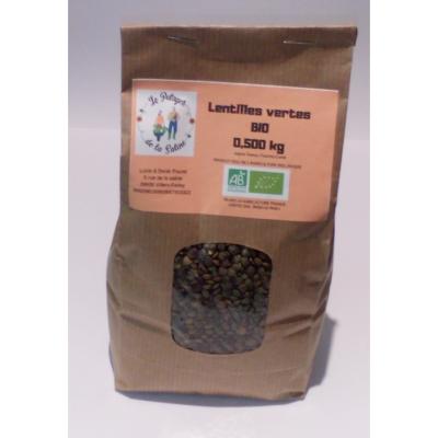 lentille verte bio sec